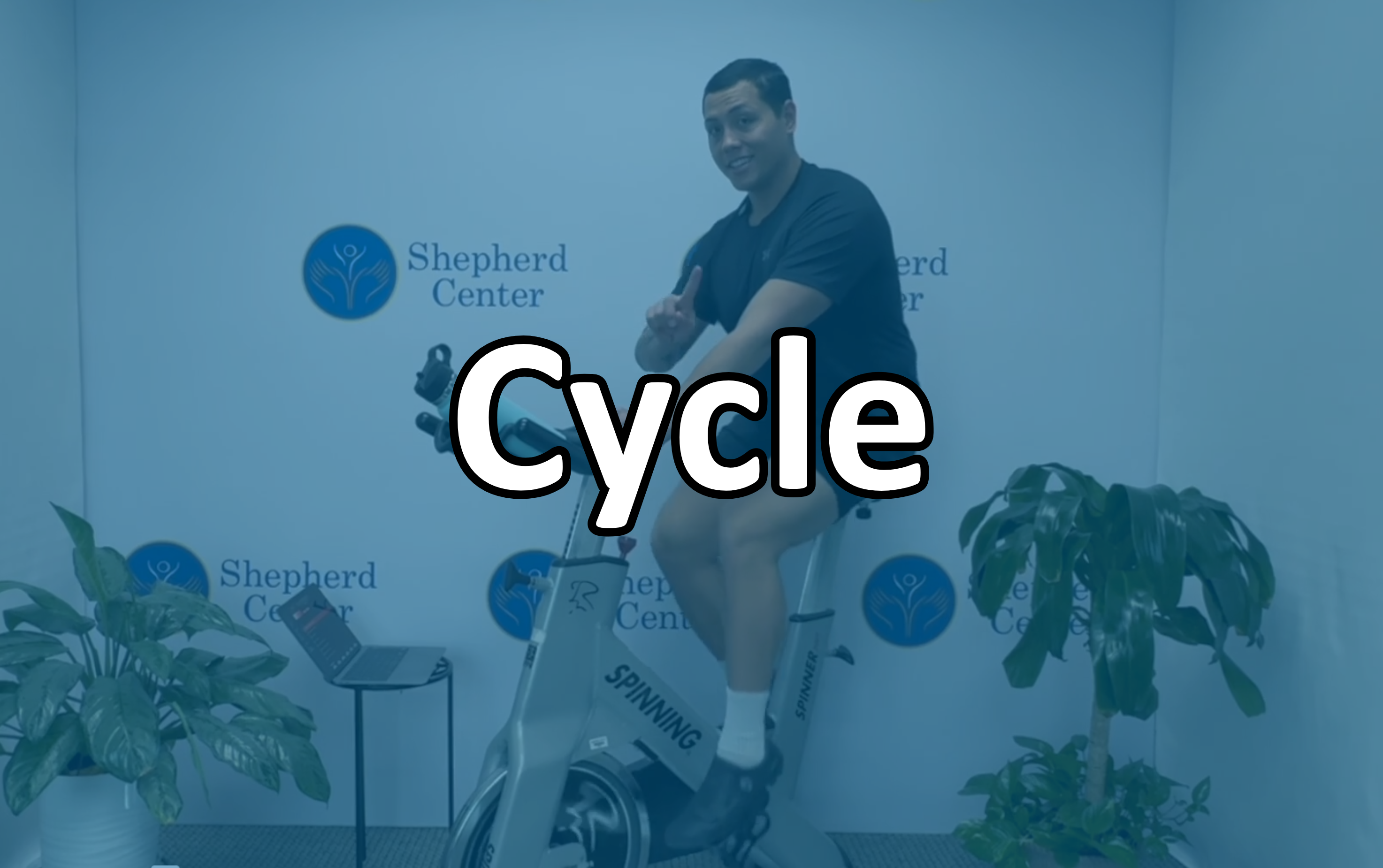 Cycle