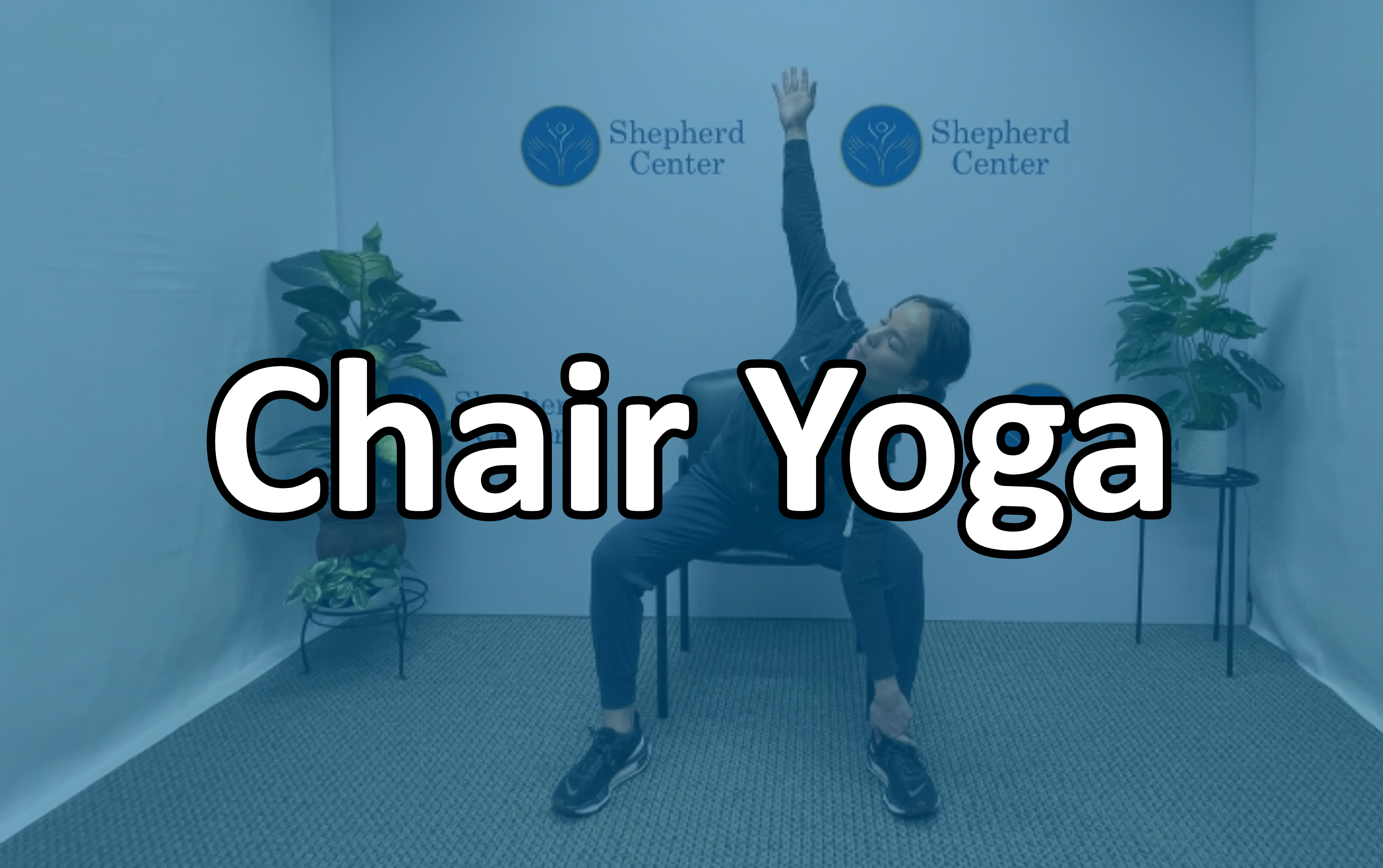 Chair Yoga (Seated)