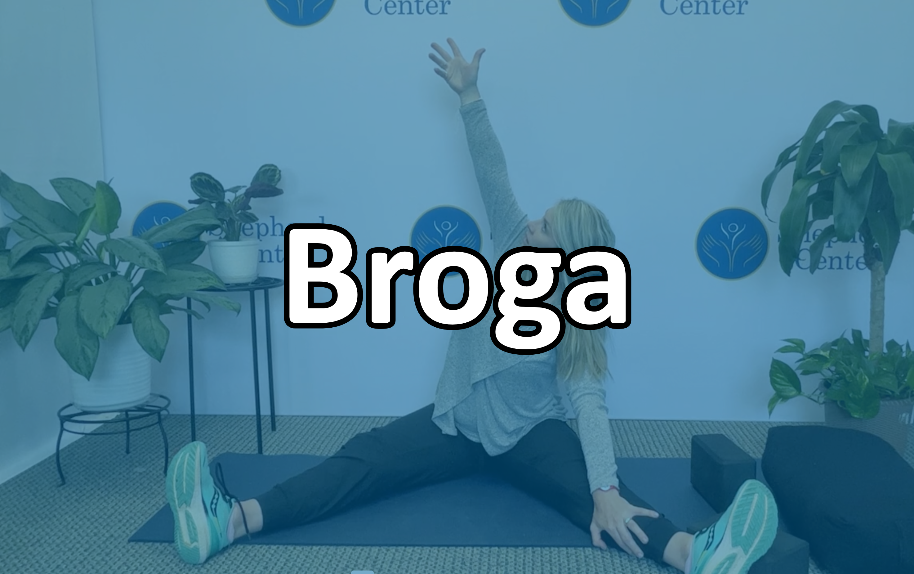 Broga