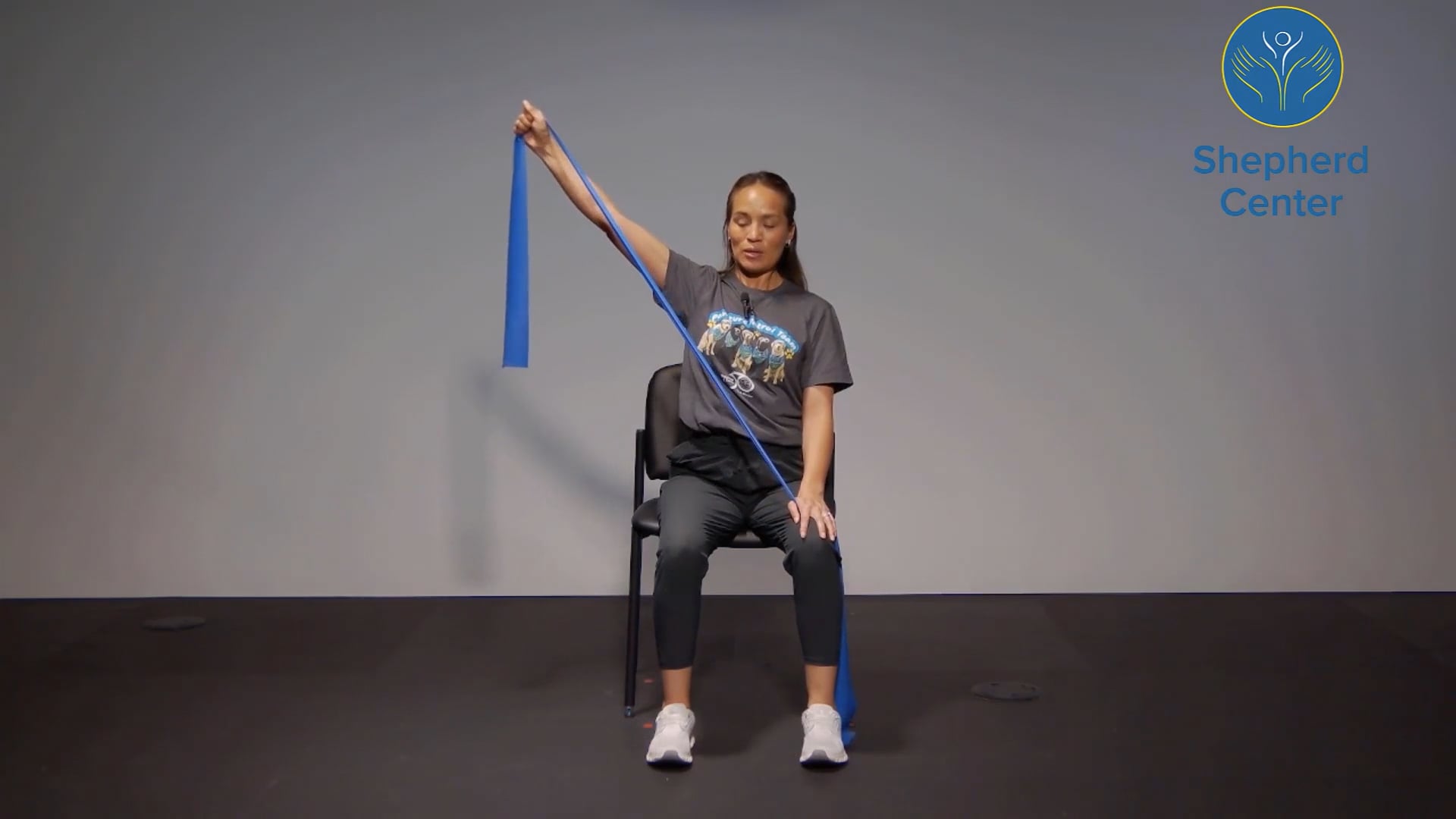 30 Minute Seated Scapular Strengthening with Allie