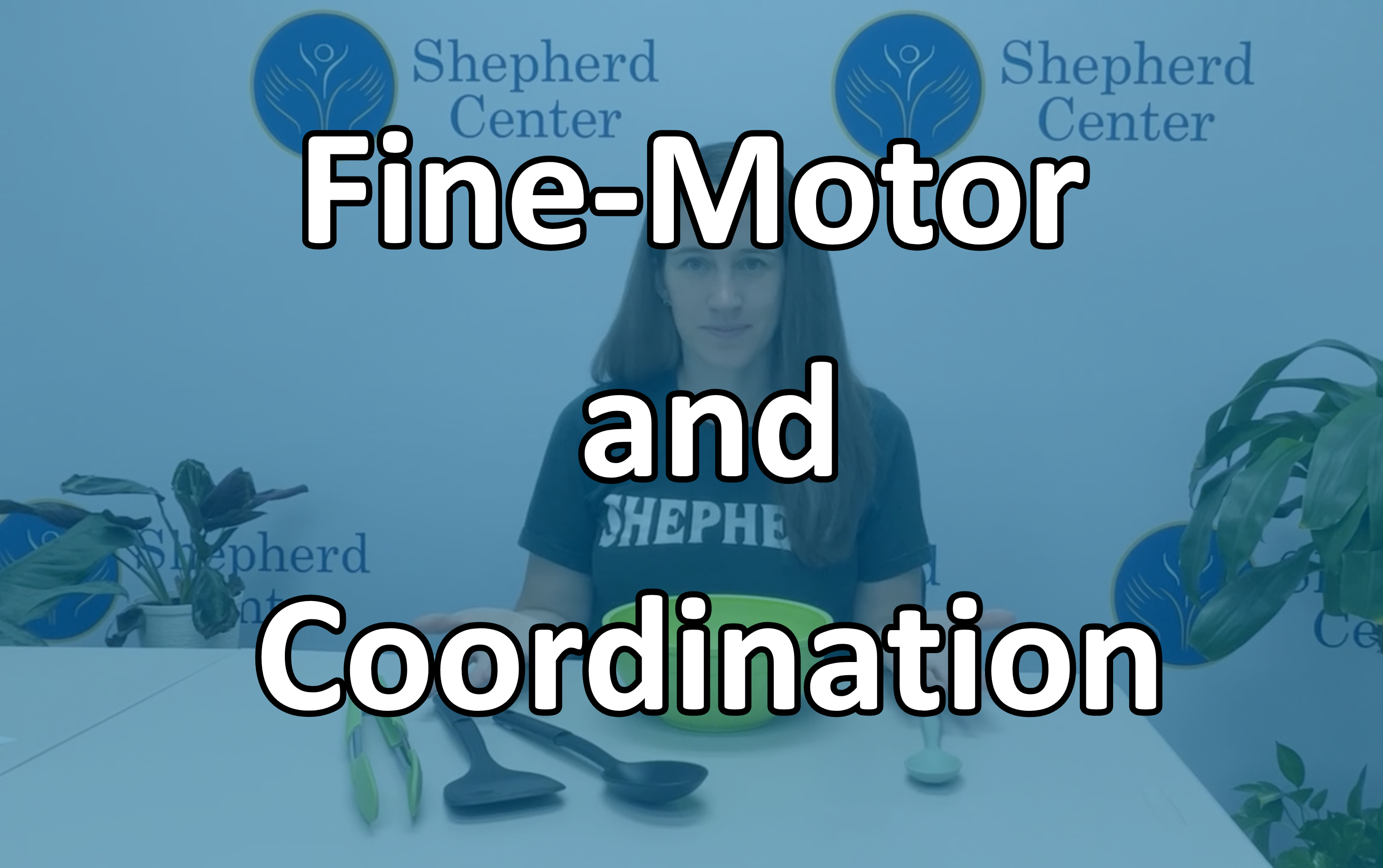 Fine Motor and Coordination Series