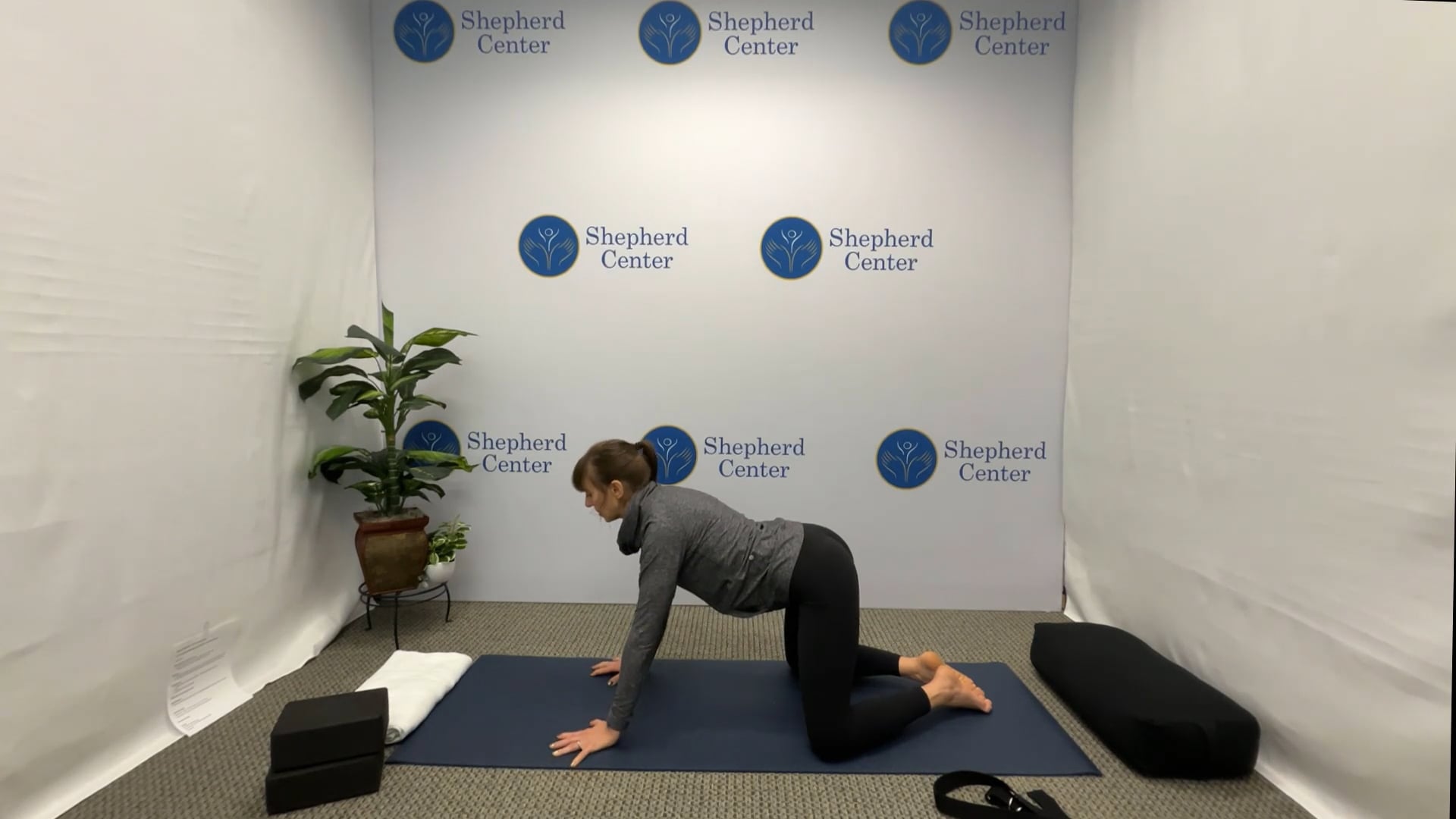 30 Minute Beginner Mat Yoga: Intro to Back Bends