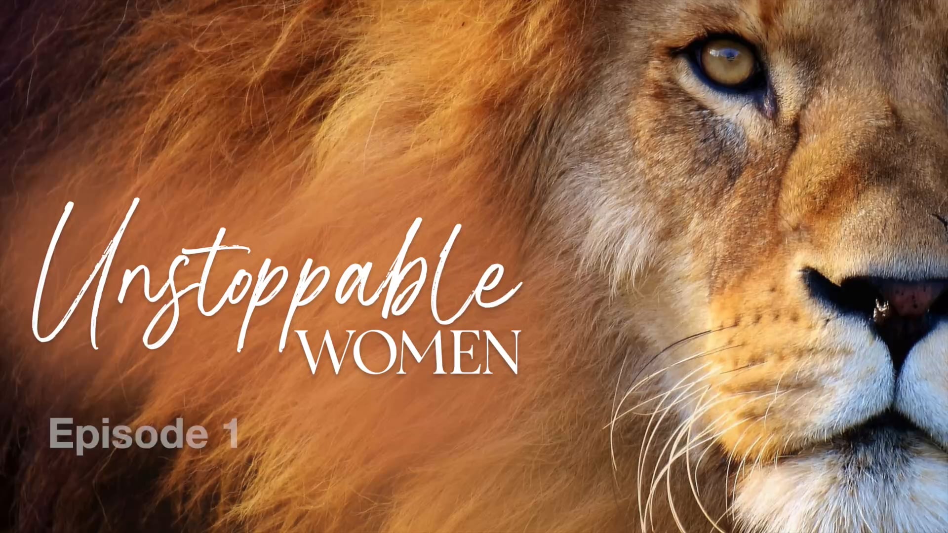 Shepherd's Voice Media Video