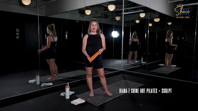 20 Minute Standing Pilates with Diana...