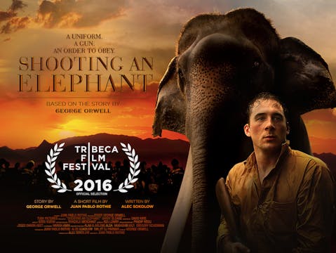 SHOOTING AN ELEPHANT