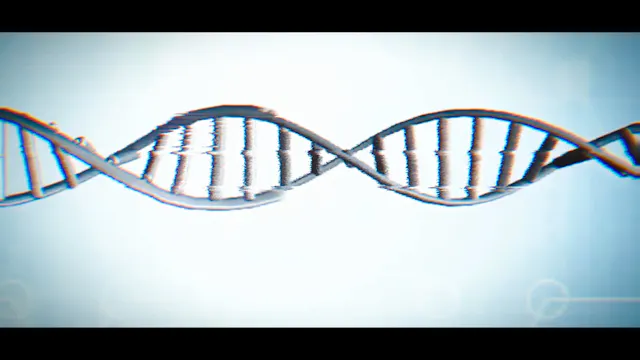 BLOOD DOCUMENTARY HD WITH CREDITS