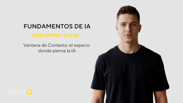 Ventana de Contexto