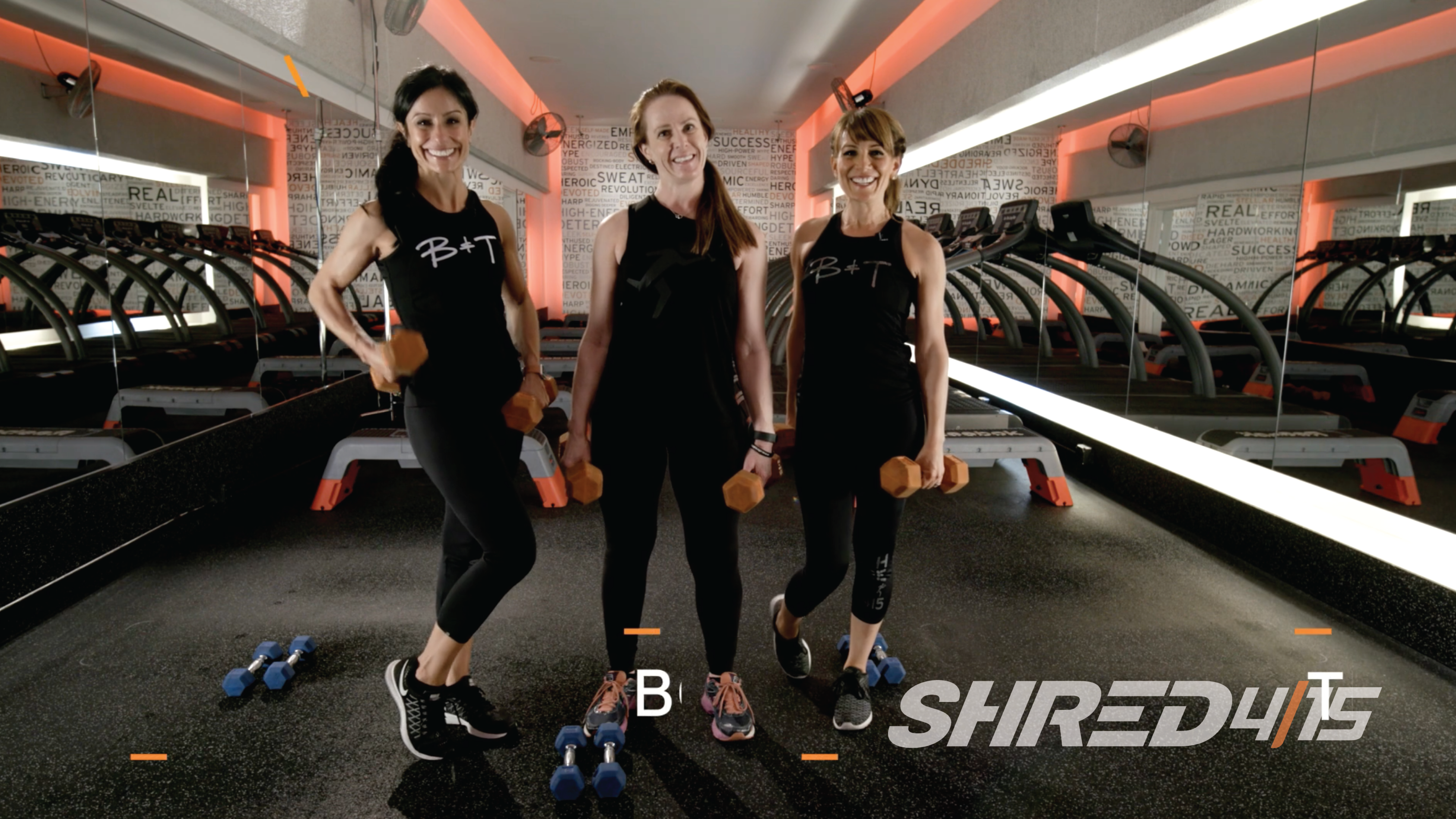  Shredded Arms 💪with Melissa // Light to Med Dumbbells
