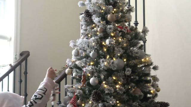Dawgs: A Christmas Special
