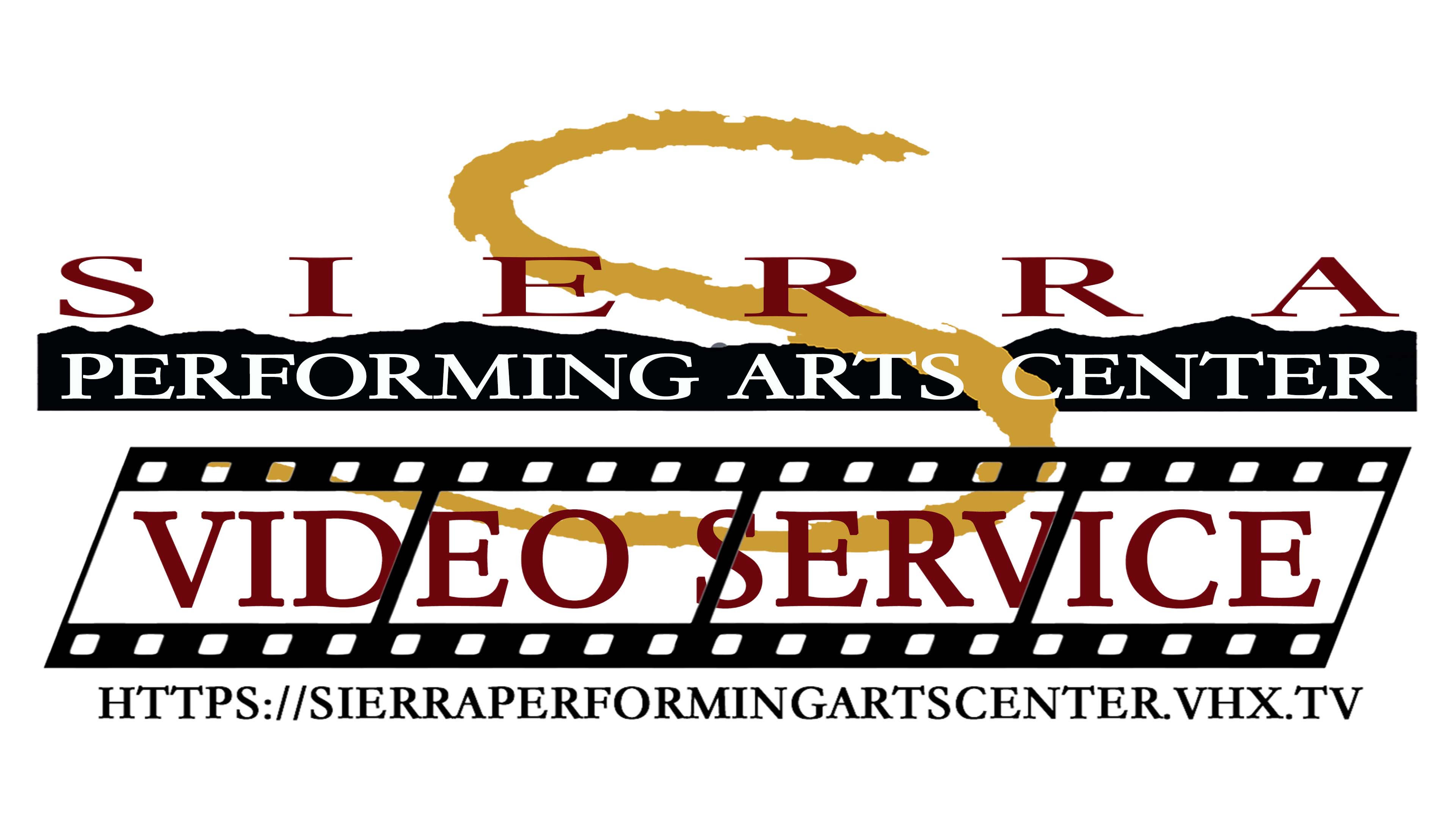 Unlimited Videos Subscription Service (access to all videos for one price)