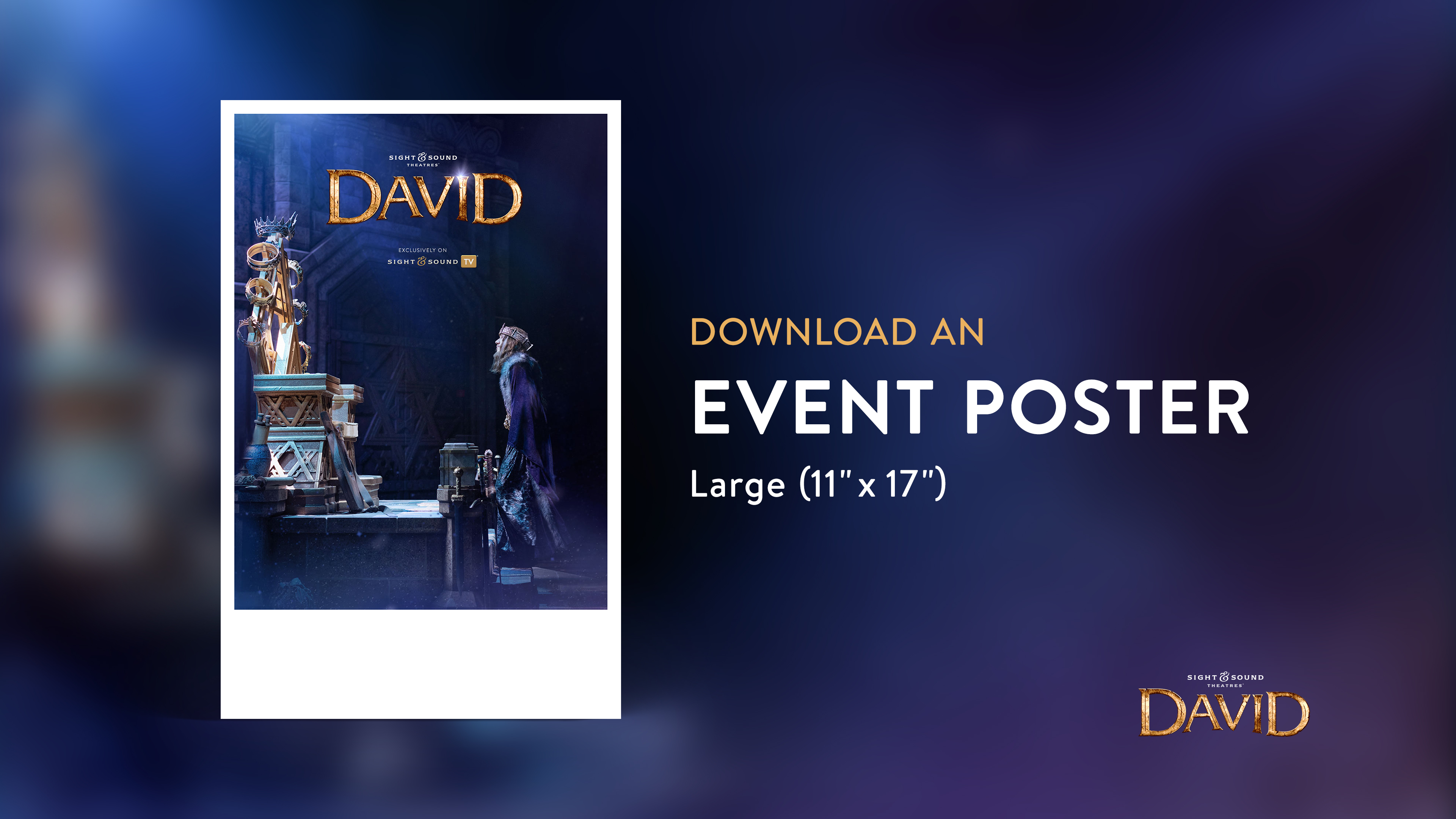 DAVID Event Poster (11 x 17)