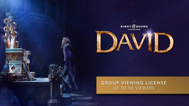 DAVID Group License (Up to 99 Viewers)