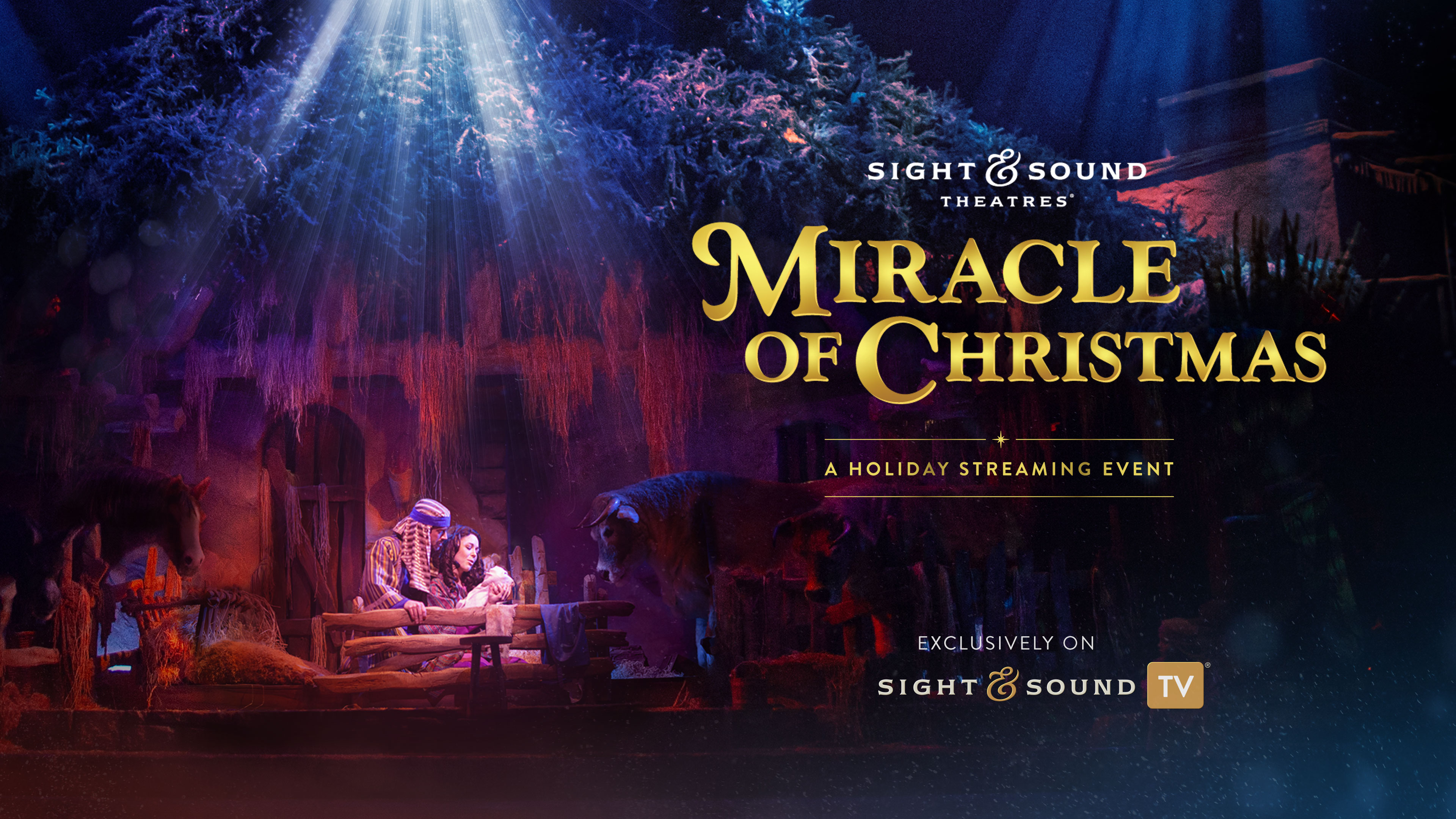 MIRACLE OF CHRISTMAS: A Holiday Streaming Event