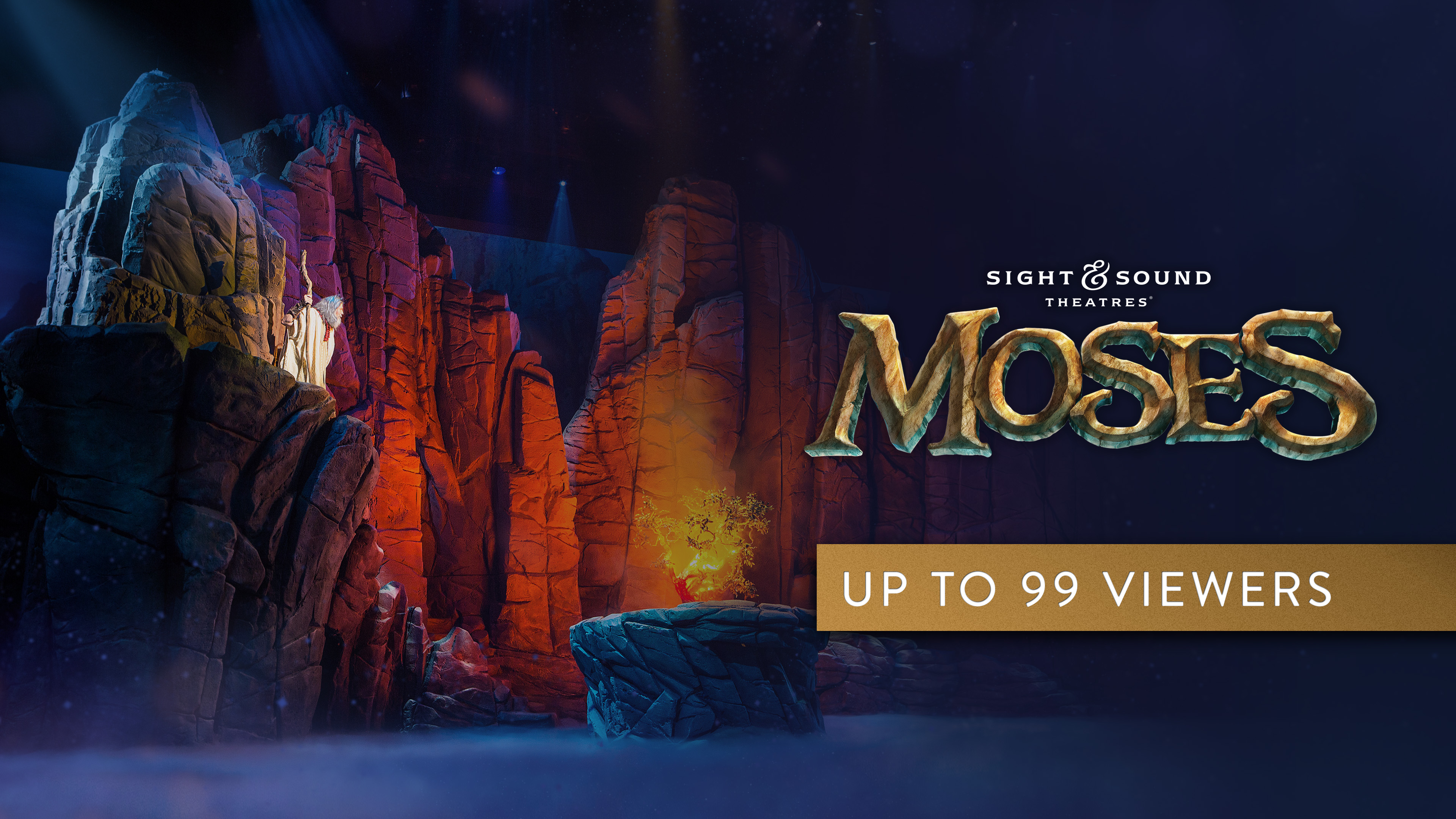 MOSES | Standard Group License