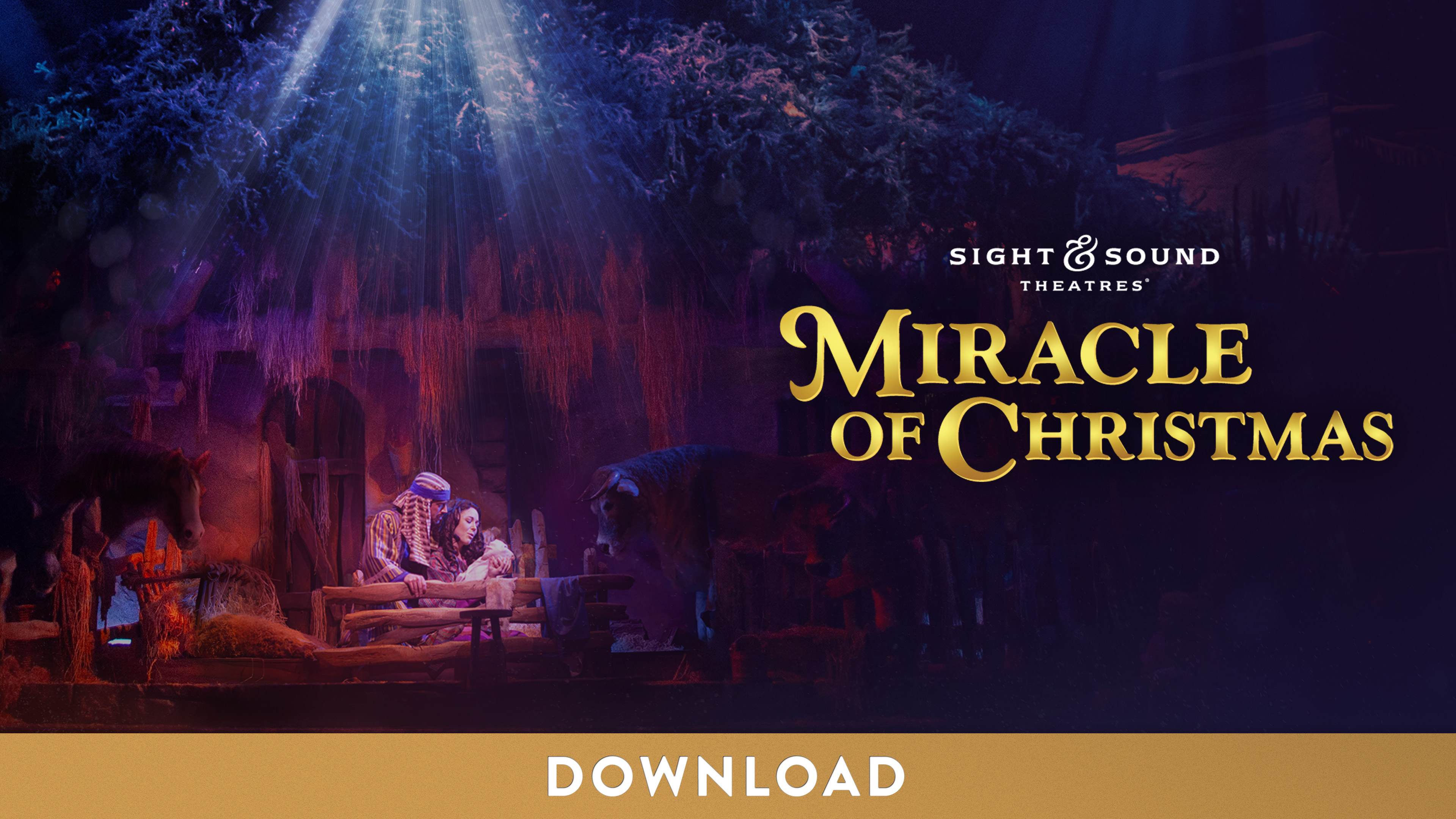 MIRACLE OF CHRISTMAS | Digital Ad (3840 x 2160)