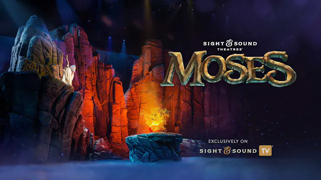 MOSES | Midsize Group Access