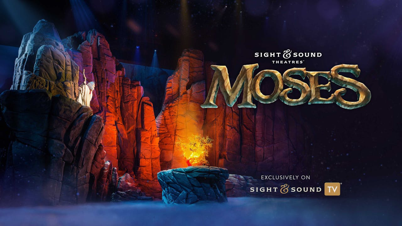 MOSES Sight & Sound TV