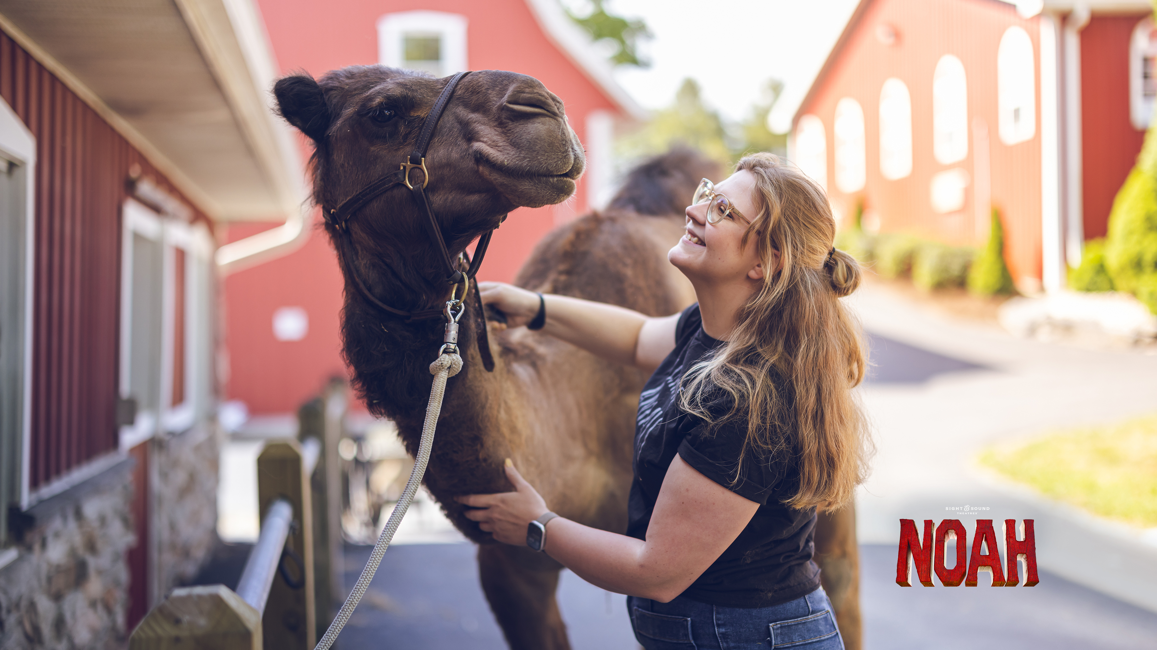 NOAH | Training the Animals