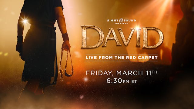DAVID | Live from the Red Carpet
