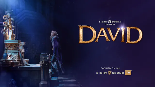 DAVID | Midsize Group Access