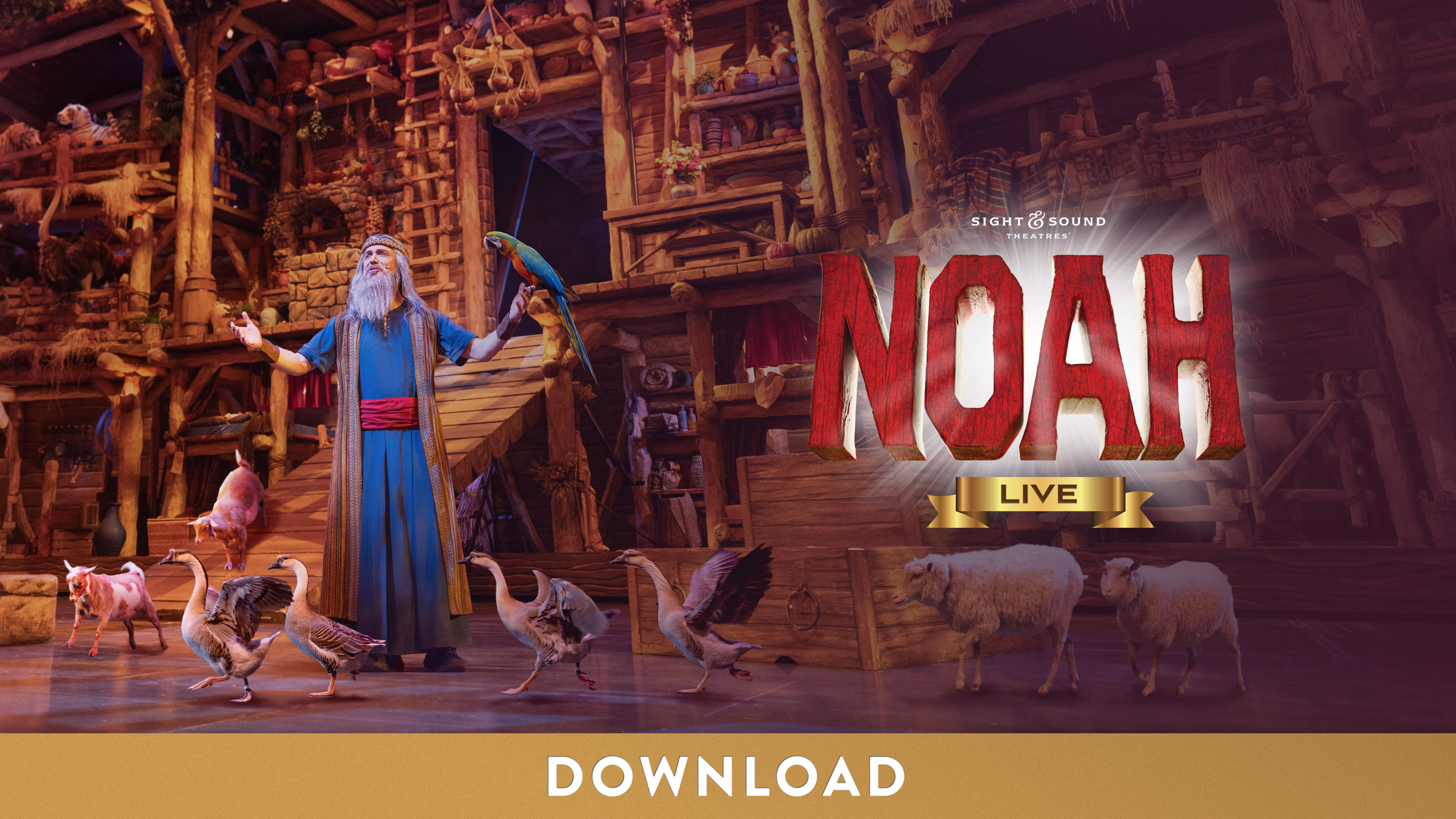 NOAH—Live! | Digital Ad (3840 x 2160)