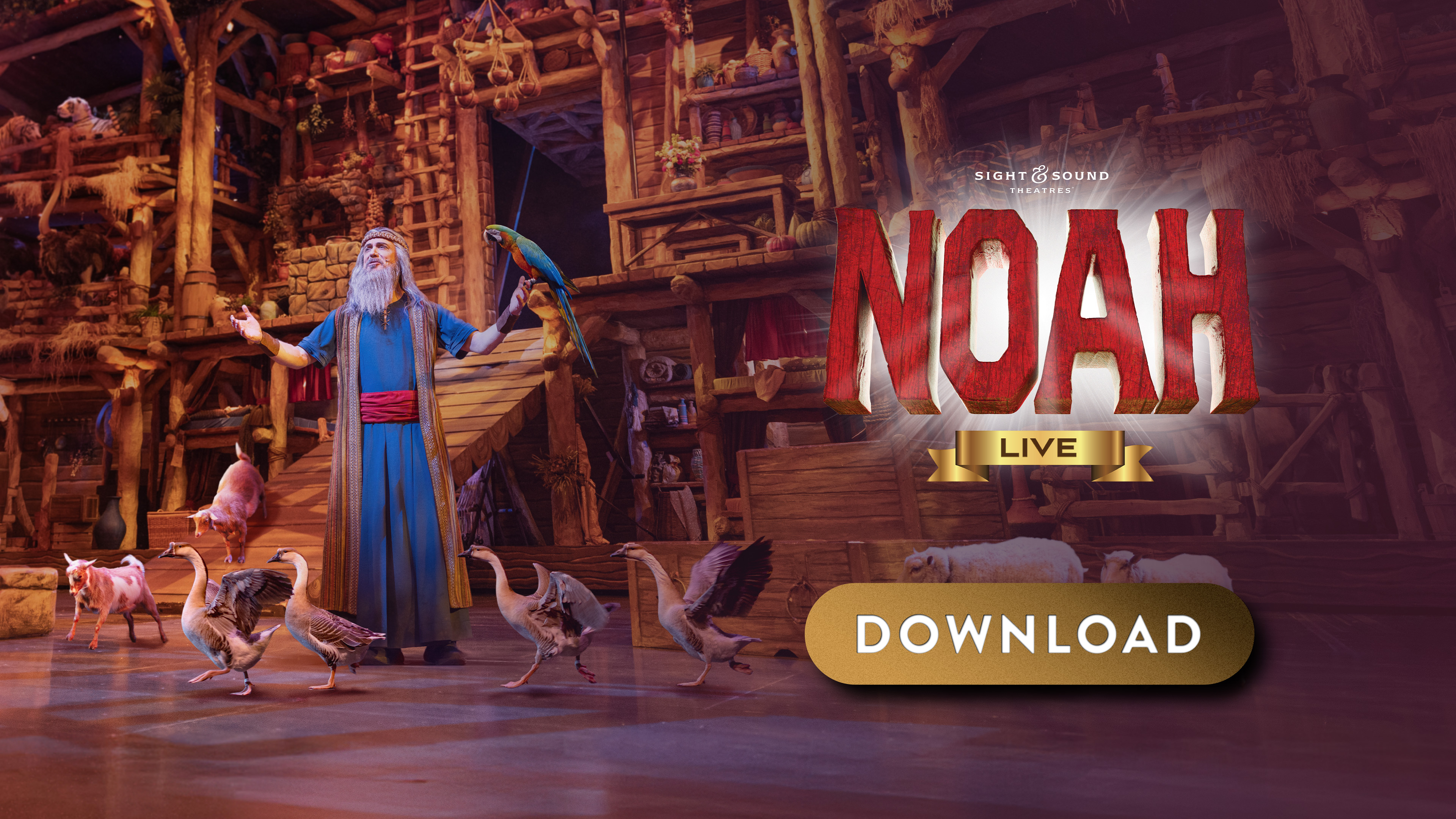 NOAH—Live! | Digital Ad (3840 x 2160)