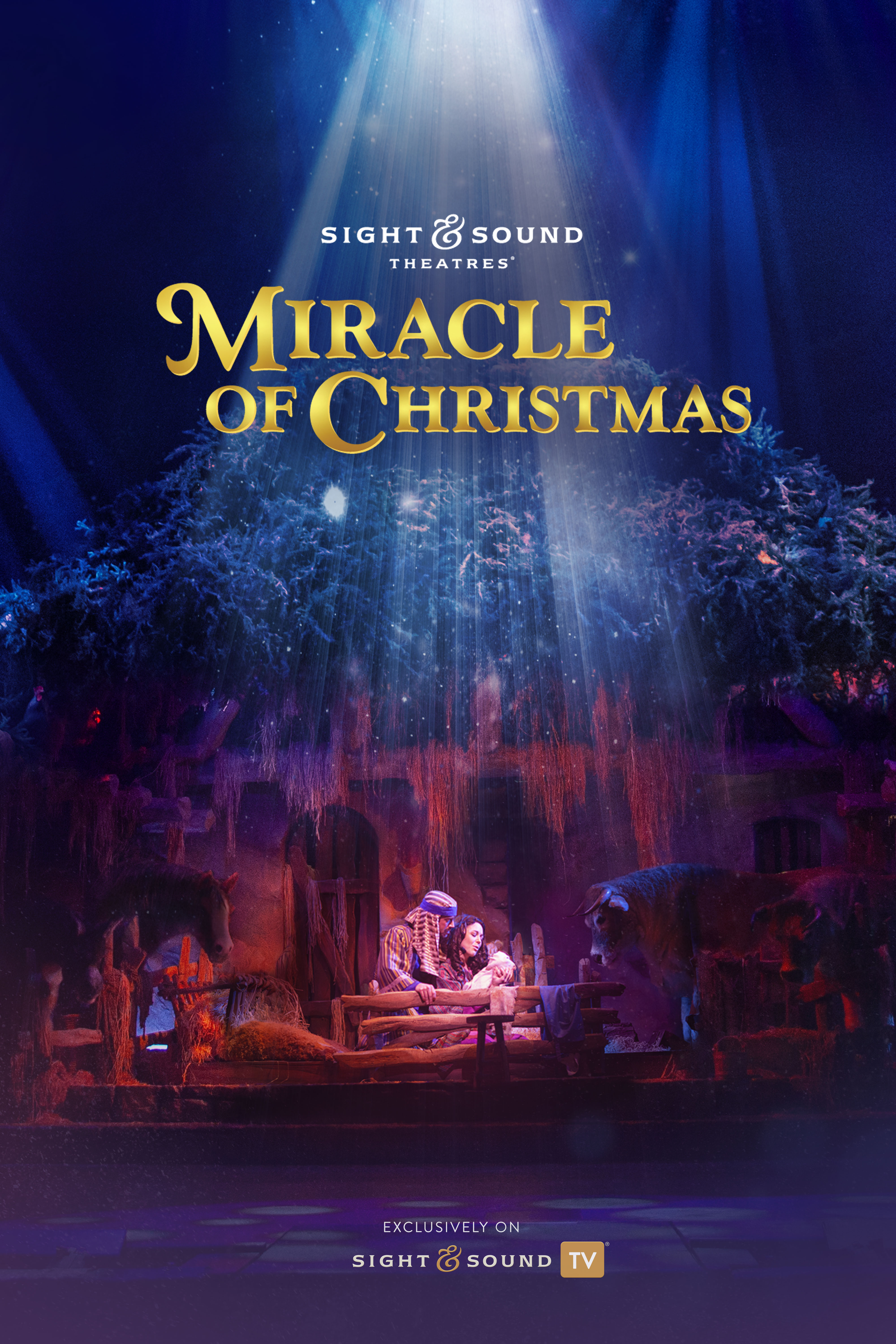 MIRACLE OF CHRISTMAS