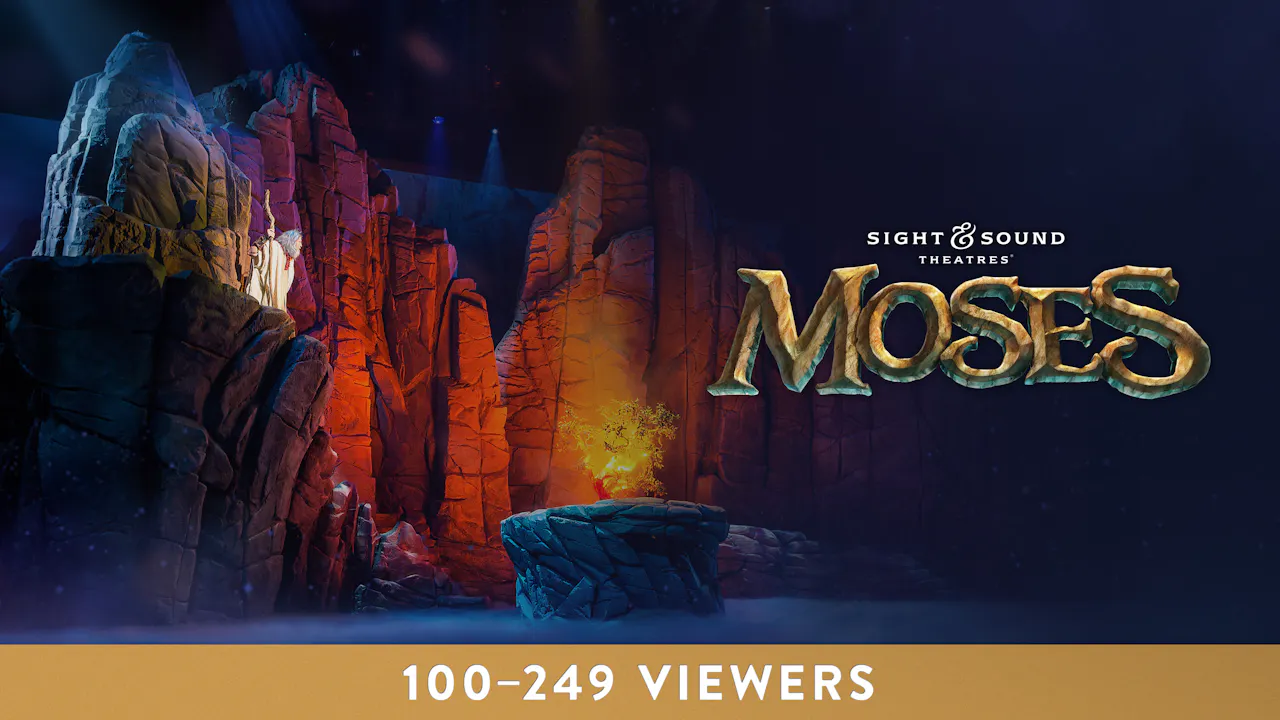 MOSES | Midsize Group License