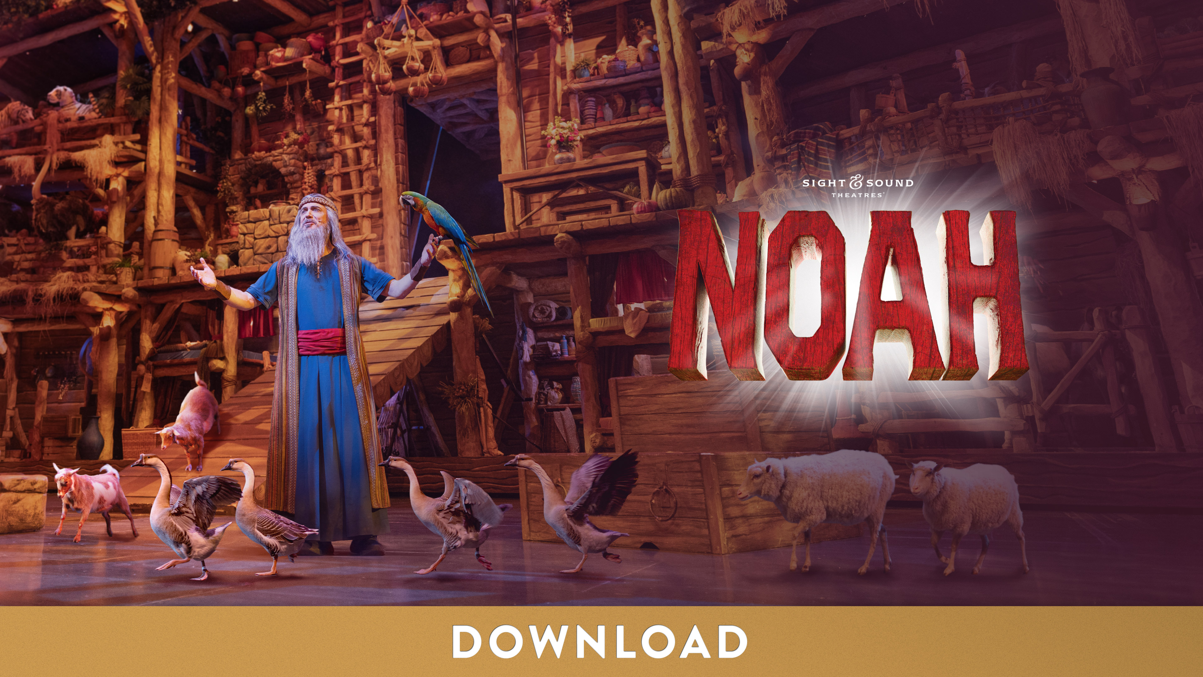 NOAH | Digital Ad (3840 x 2160)