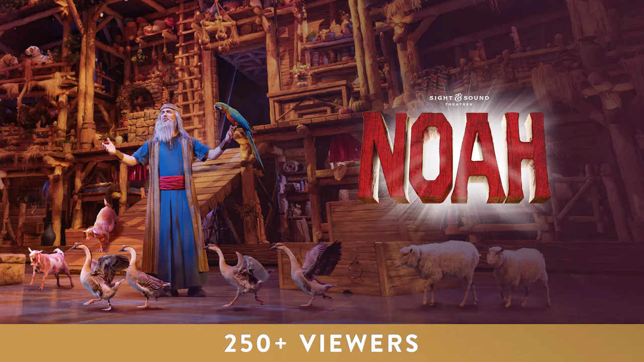 NOAH (2025) | Large Group License