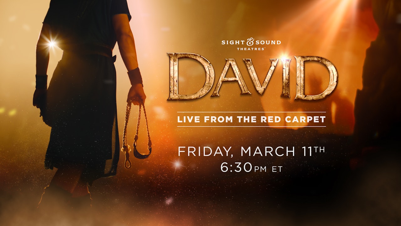 DAVID | Live from the Red Carpet