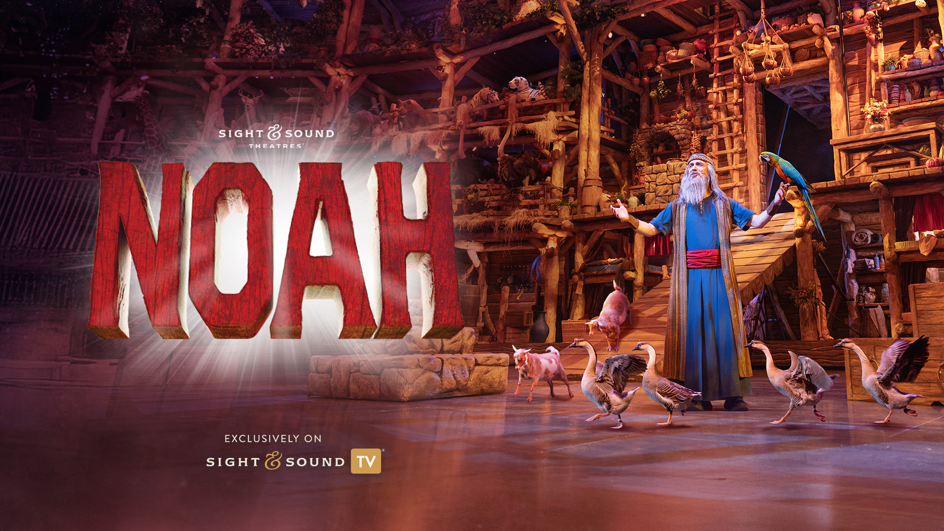 NOAH (2025)