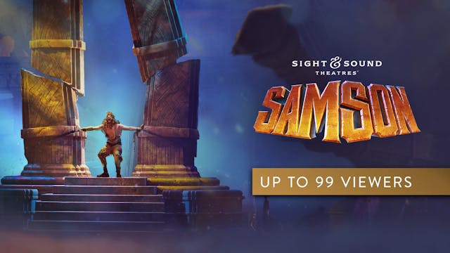 SAMSON | Standard Group License