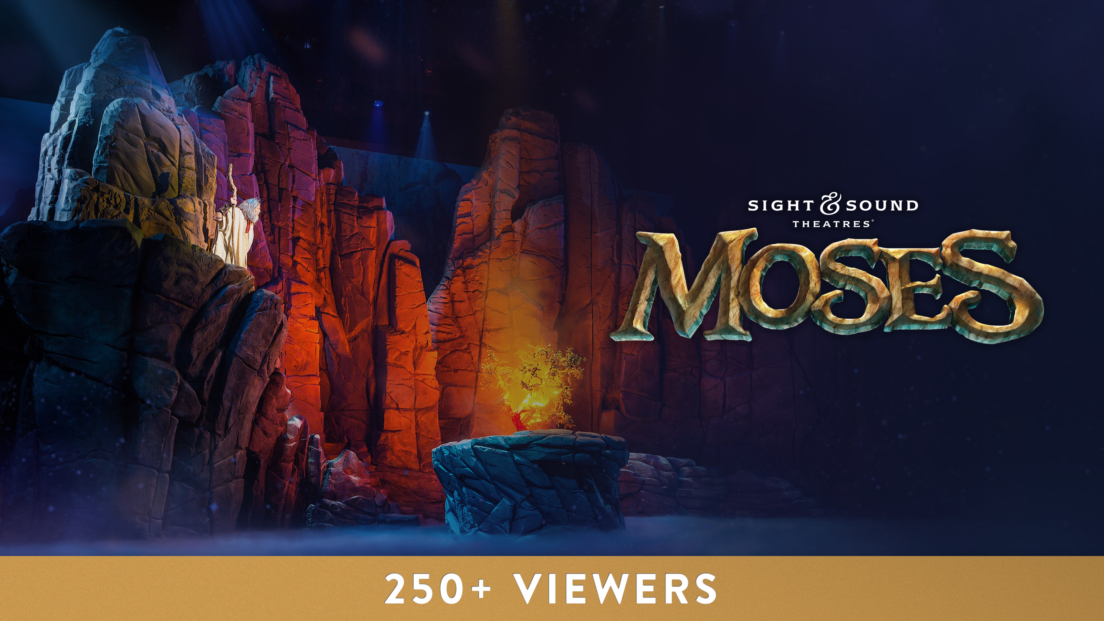 MOSES | Large Group License