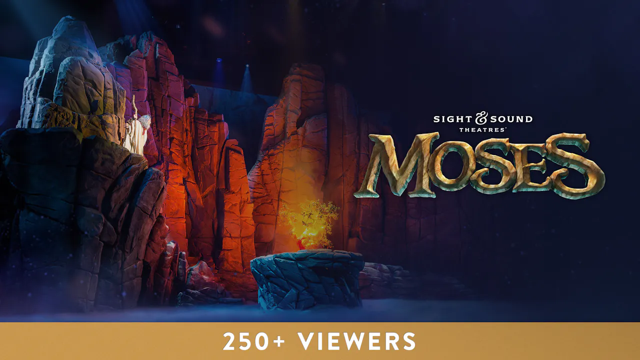 MOSES | Large Group License