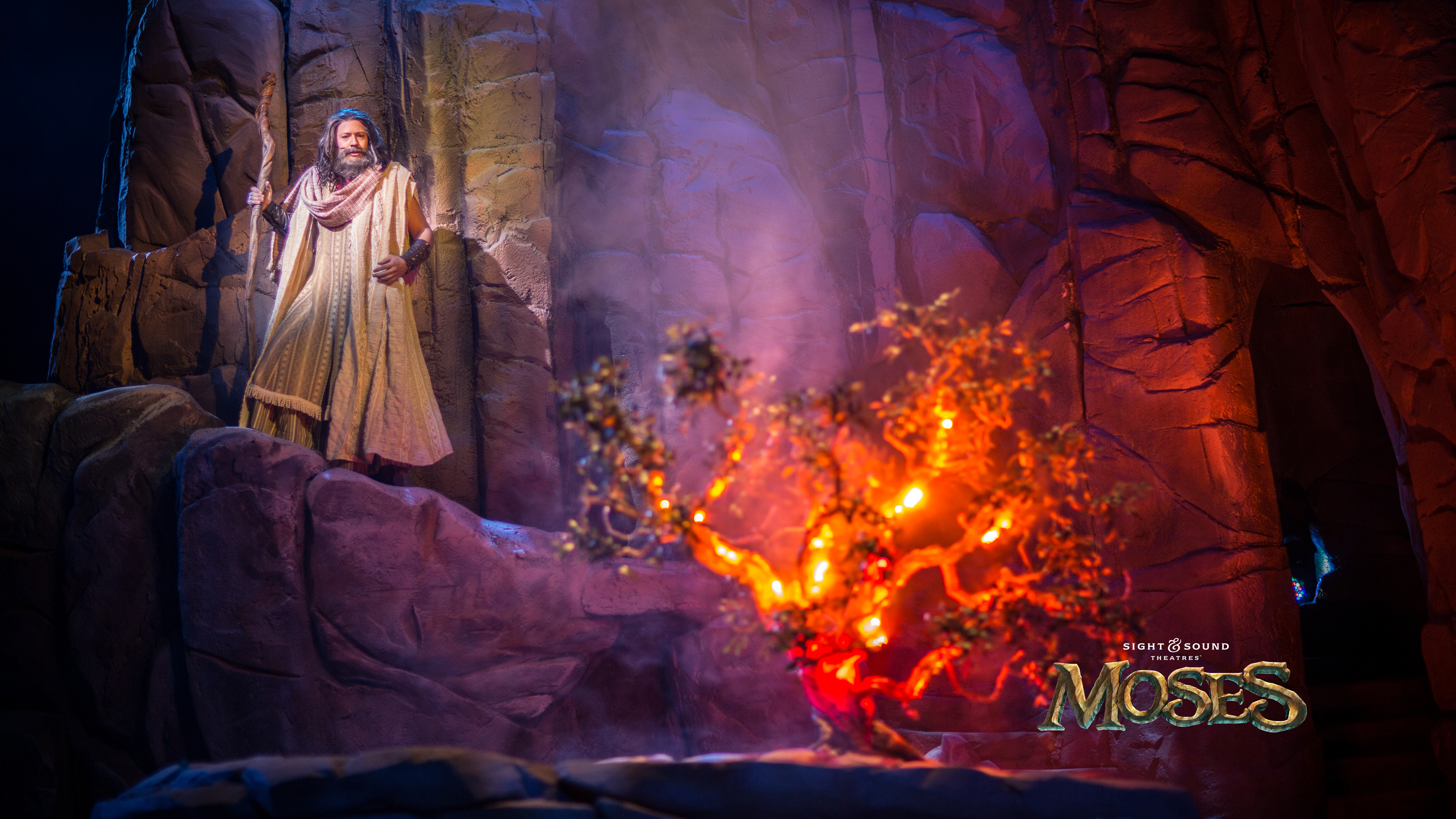 MOSES | The Heart of the Story