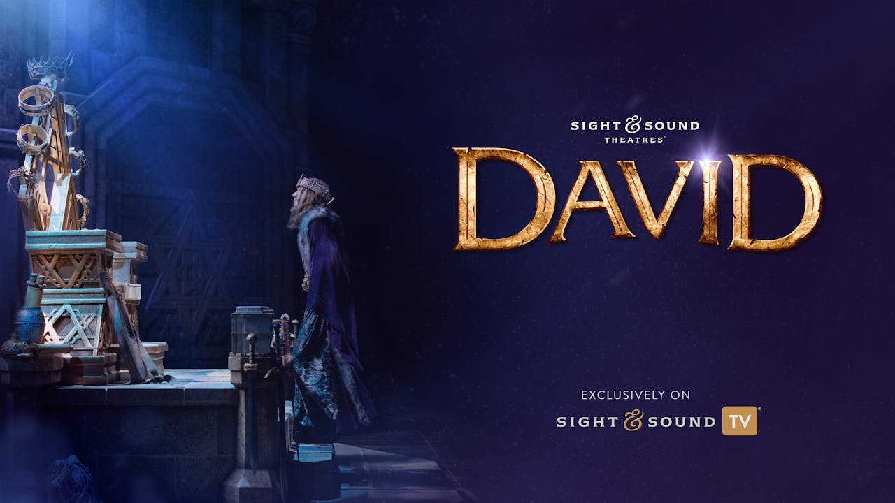 DAVID Sight & Sound TV