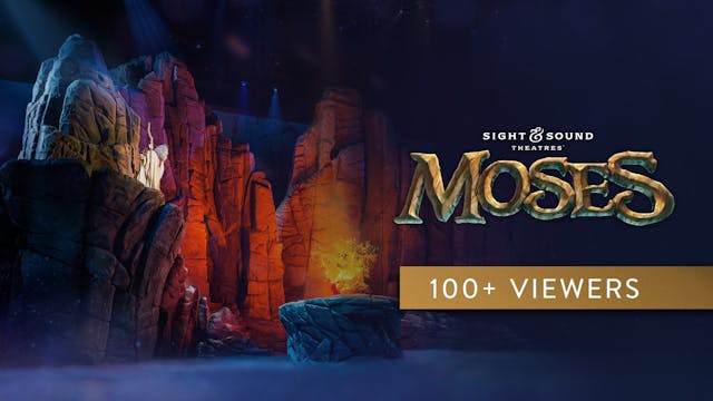 MOSES | Large Group License