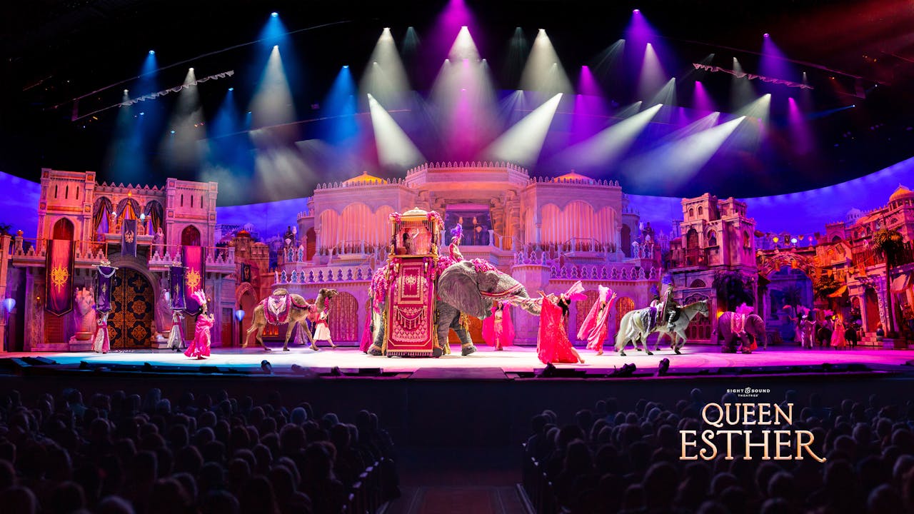 Queen Esther Building The Elephant Sight And Sound Tv 2732