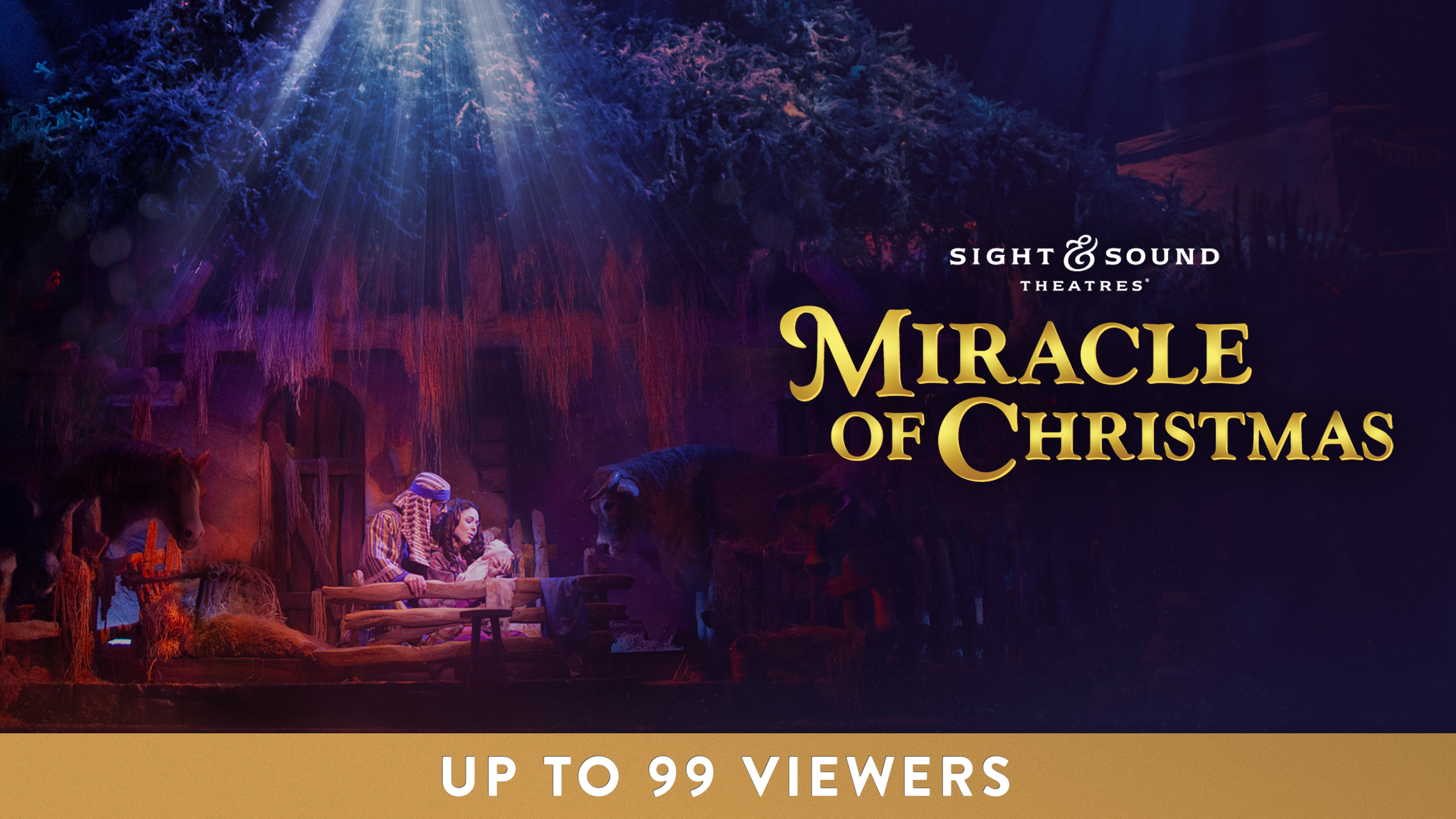 MIRACLE OF CHRISTMAS | Standard Group License