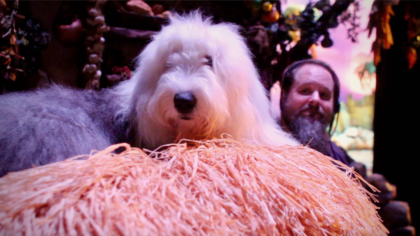 NOAH | Behind the Scenes: The Crew