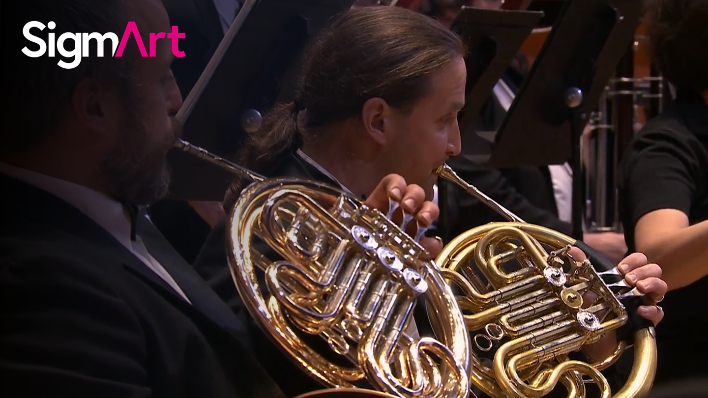 BUDAPEST FESTIVAL ORCHESTRA plays Johannes Brahms