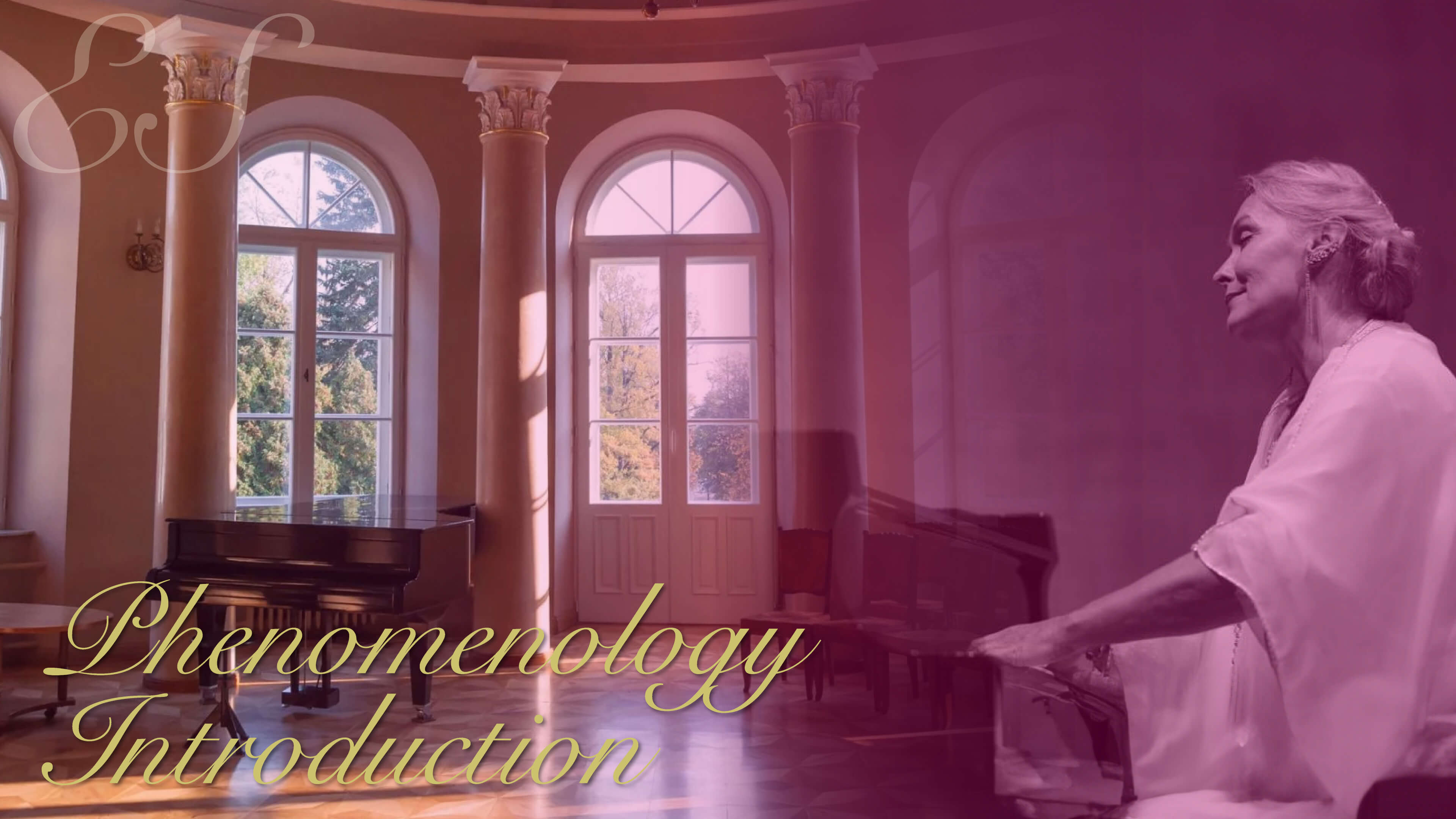 Phenomenology Introduction
