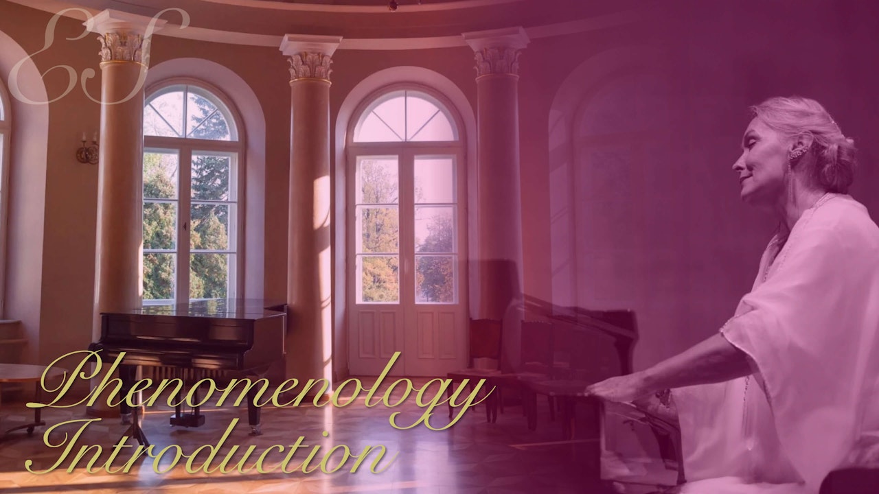 Phenomenology Introduction