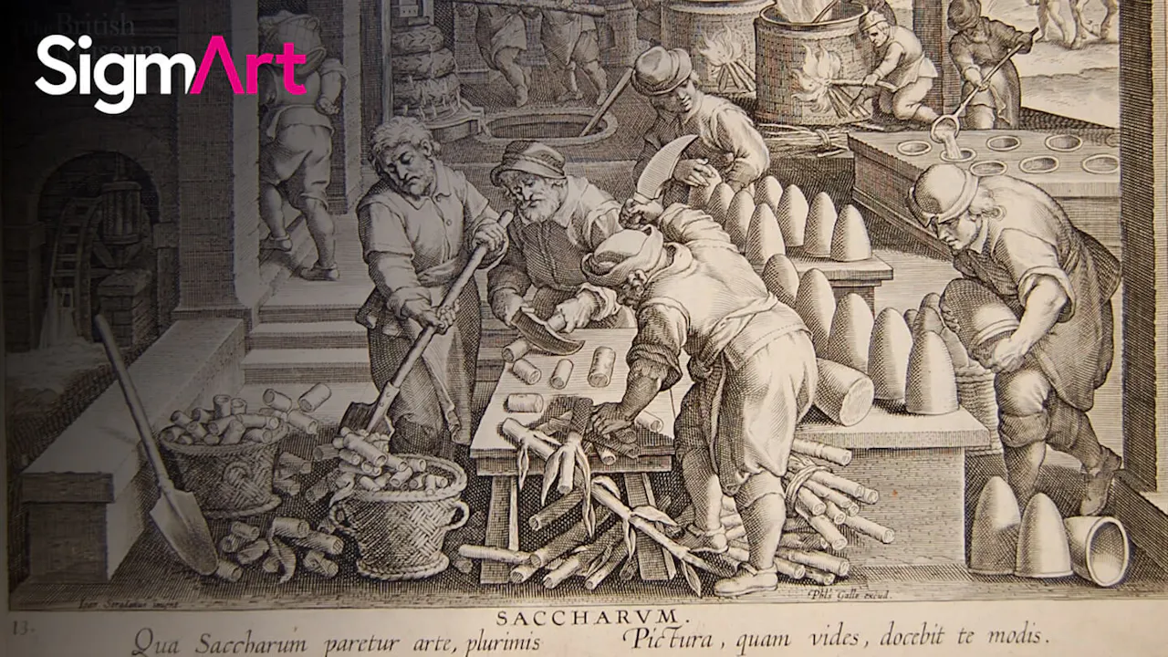 The History of SUGAR - British Museum Collection - SigmArt