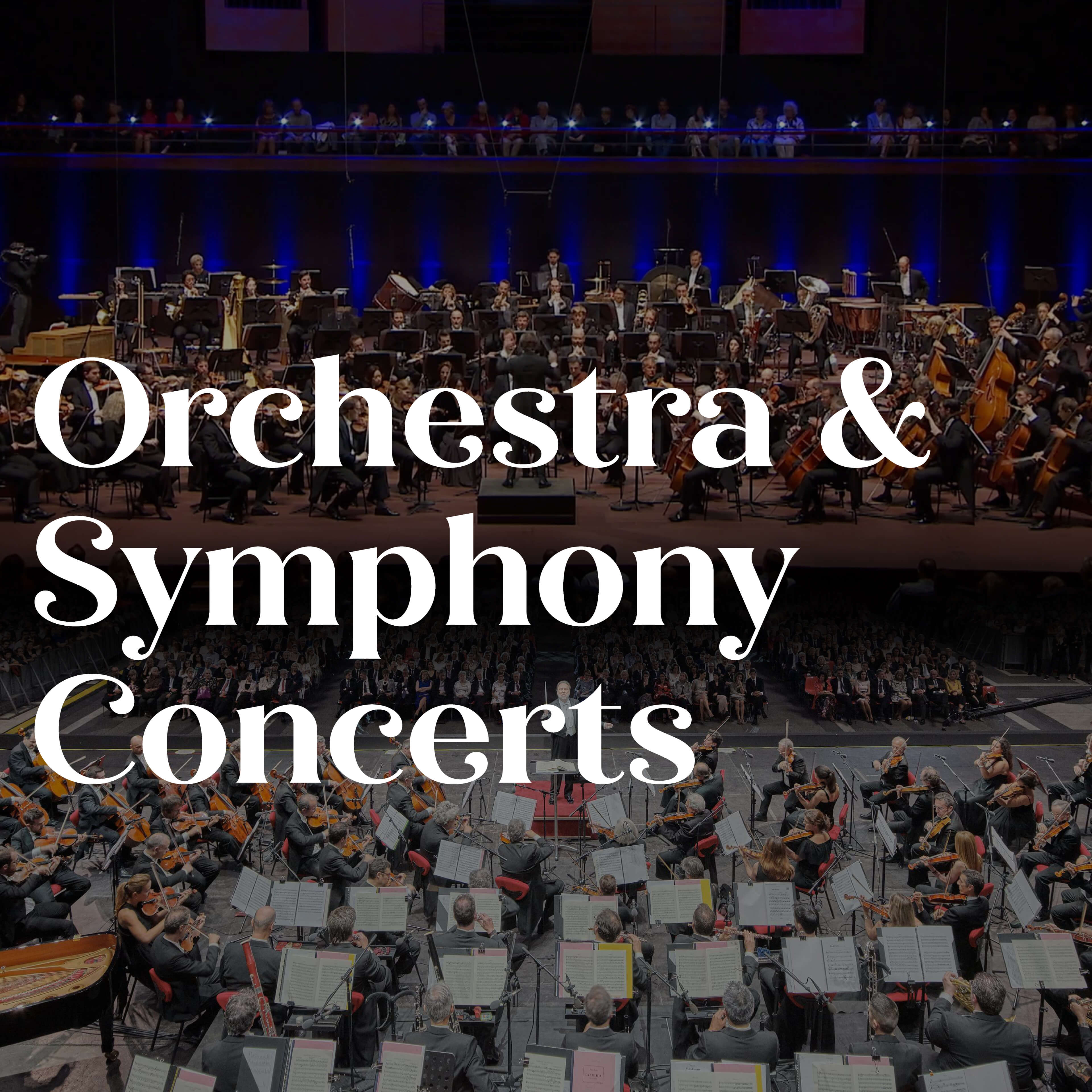 Orchestra & Symphony Concerts