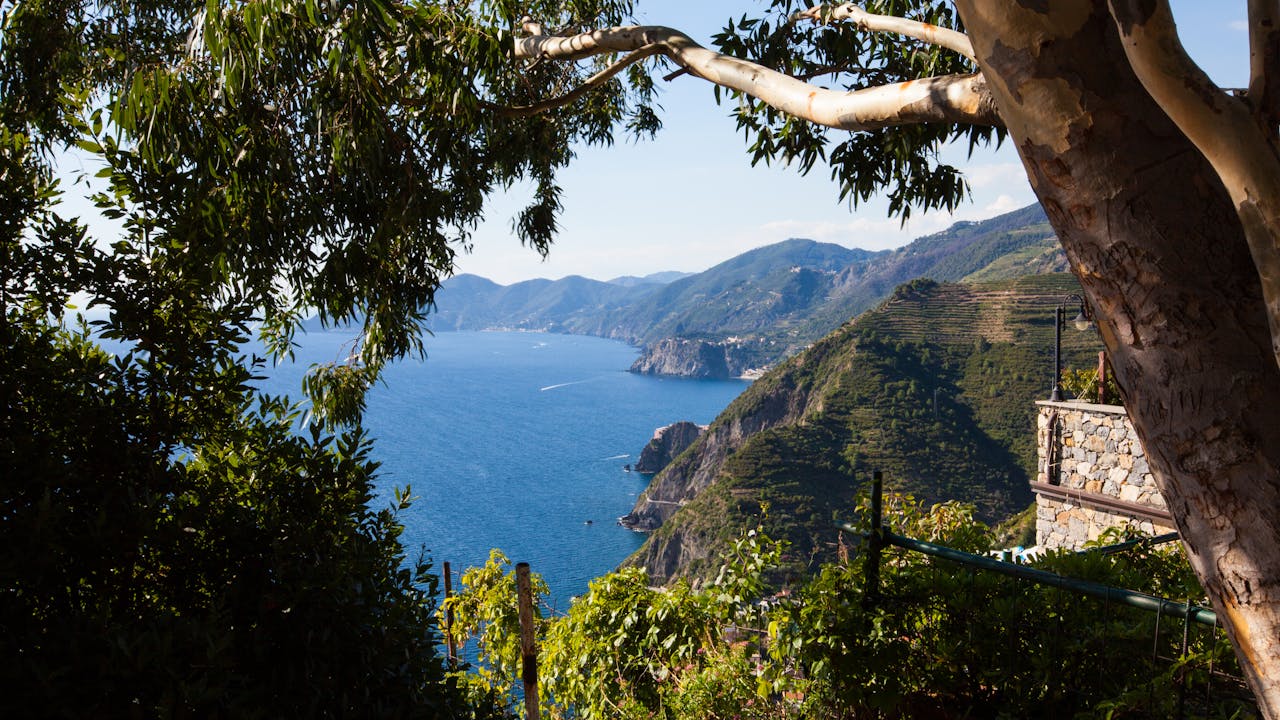 The Cinque Terre - Past and Present (Rental Only - Solo Affitto)