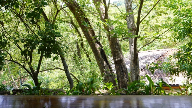 8 Min Calming, Gentle Side Body Flow in Costa Rica