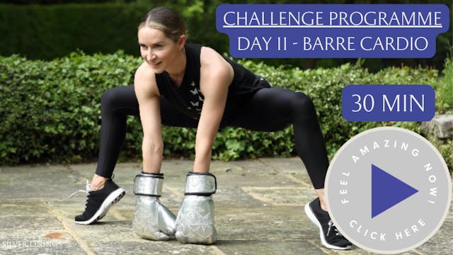 Day 11 - Barre Cardio with Chrissy