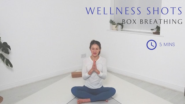 BOX BREATHING SEQUENCE WITH VANESSA